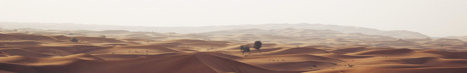 кԶе޹˾